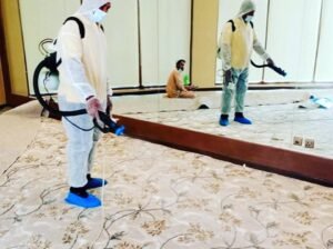 الدليل الشامل لمكافحة الآفات المنزلية في المنطقة الشرقية: استراتيجيات متطورة لحماية البيئة السكنية