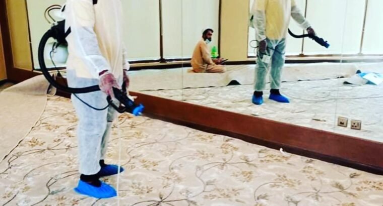 الدليل الشامل لمكافحة الآفات المنزلية في المنطقة الشرقية: استراتيجيات متطورة لحماية البيئة السكنية