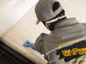الدليل الشامل للعناية بالمفروشات: أحدث أساليب تنظيف الكنب والمجالس